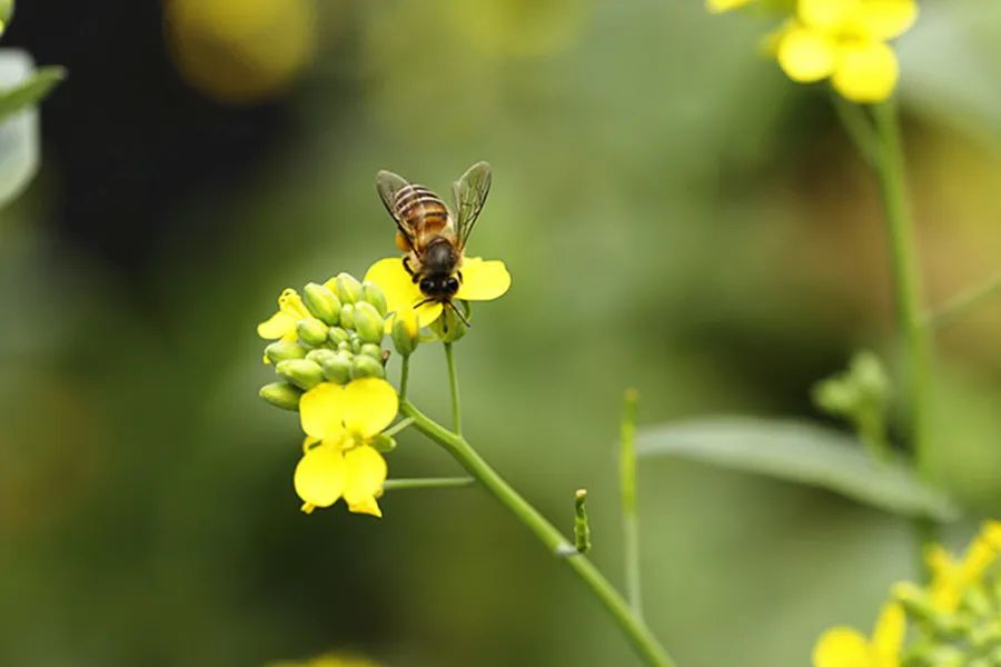 健康中国频道直播,健康中国的直播