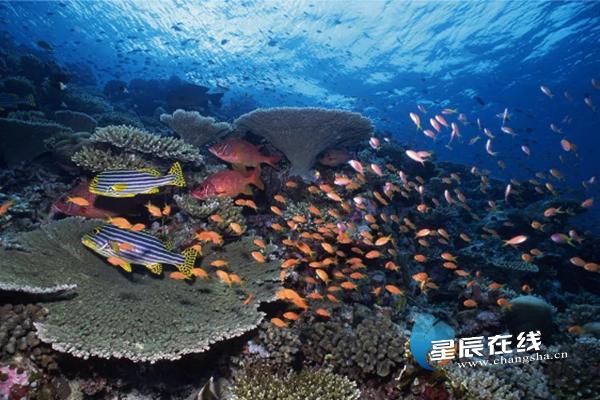 长沙湘绣古街旅游,长沙湘绣城游玩