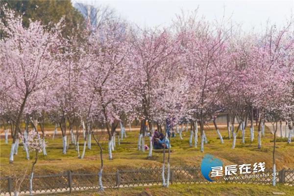 长沙湘绣古街旅游,长沙湘绣城游玩