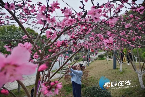 长沙湘绣古街旅游,长沙湘绣城游玩