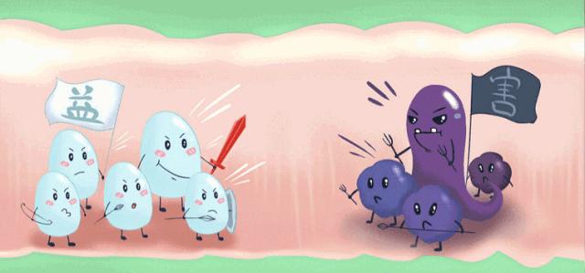 肚子上一抓一大把脂肪,肚子一抓一堆赘肉