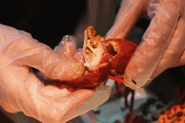 【关注】今天起，鹿泉又多了5个霸气新名字！