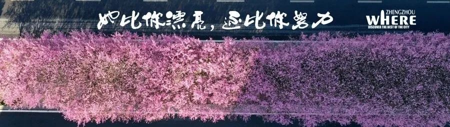 【双语】Zhengzhourecoversitsvigor“序”力郑州