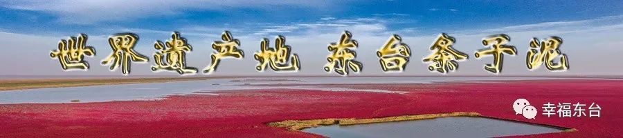 东台万达地产会涨价么,东台万达地产现状