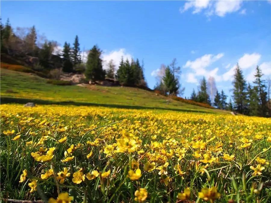 北疆的水美,北疆的美歌曲完整版