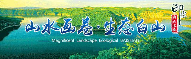 吉林省人参产业高质量发展的意见,抚松人参加工技术规定