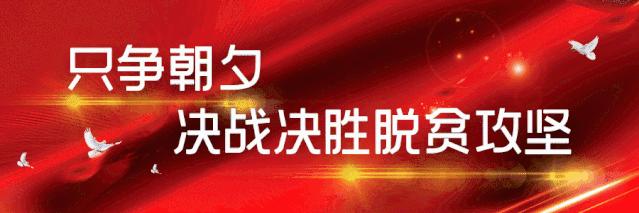 官方车上哪个标志不用贴,2019车辆标志哪些不用贴了