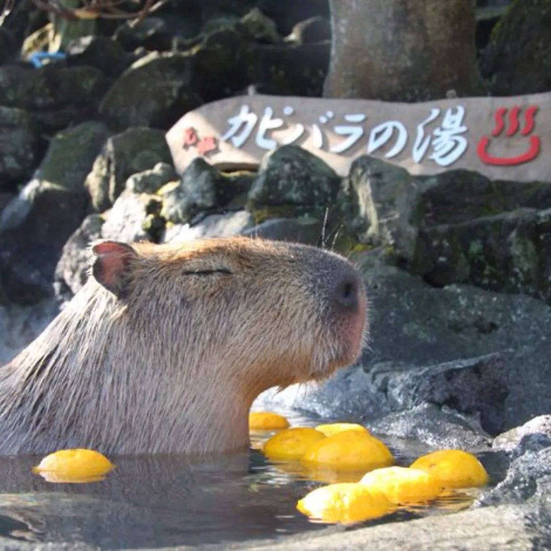 BMJ子刊：多泡热水澡，心脑血管好！20年随访研究发现，每天泡澡与心血管疾病风险降低28%，中风风险降低26%有关丨临床大发现