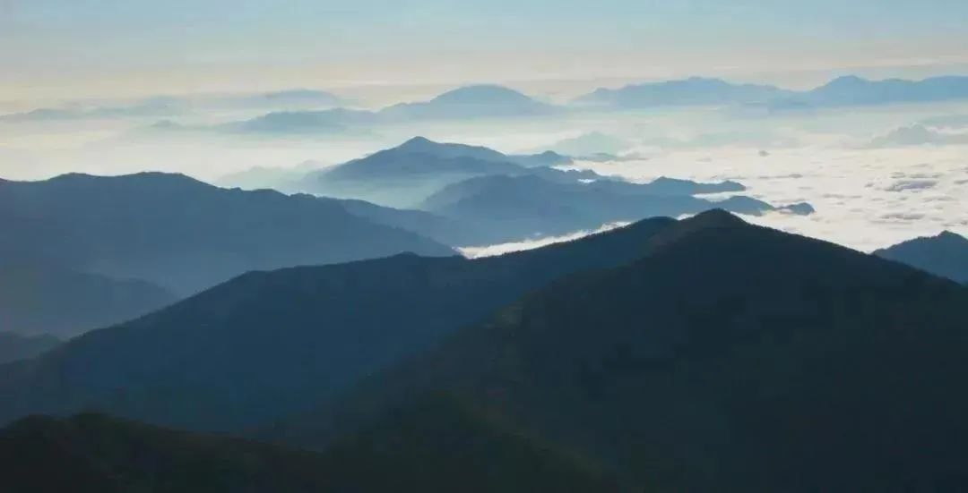 直播电商门店,直播电商之都