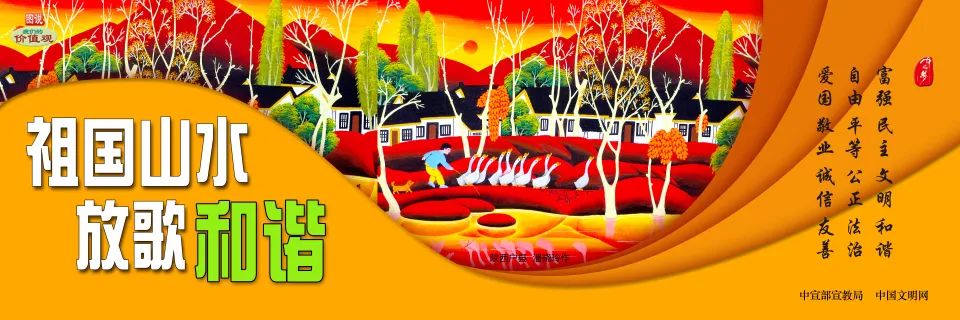 回望2020|@西宁人，请查收！专属于志愿者的关键词