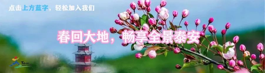 春暖花开古镇一游,春秋古镇景区