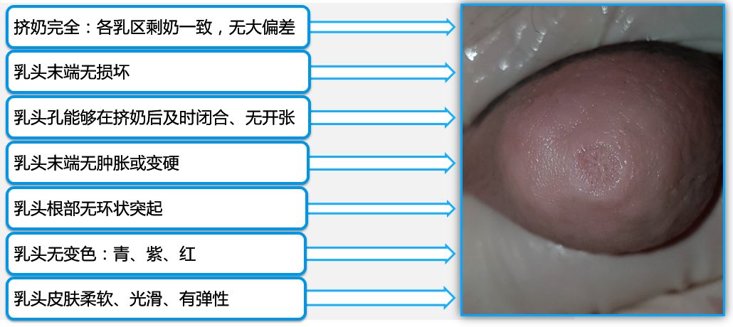 奶牛养殖技术难题及答案,奶牛接产常见问题