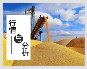 记者采访水稻育苗新闻稿,江苏华穗粮食有限公司