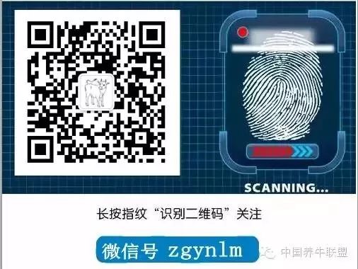 养羊的十条忠告,养羊的八条忠告