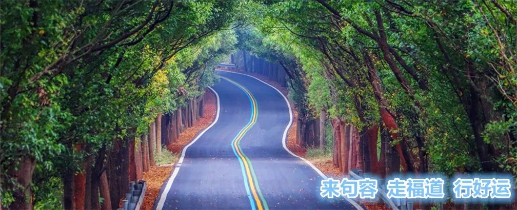 江苏句容医师名单,句容名医评选