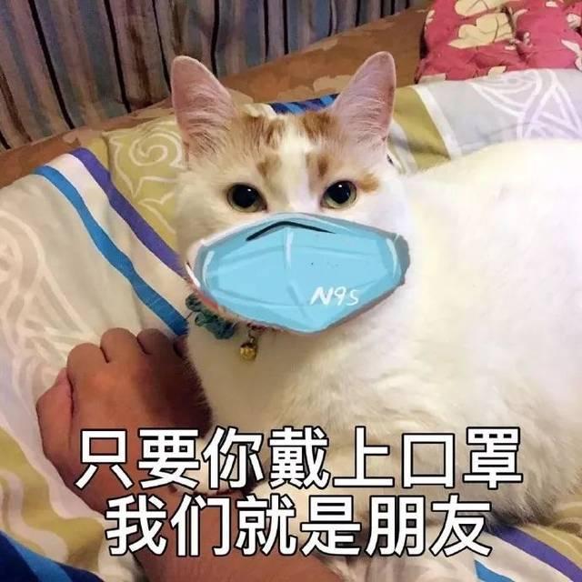 新上映的迪士尼公主,迪士尼公主系列电影汇总