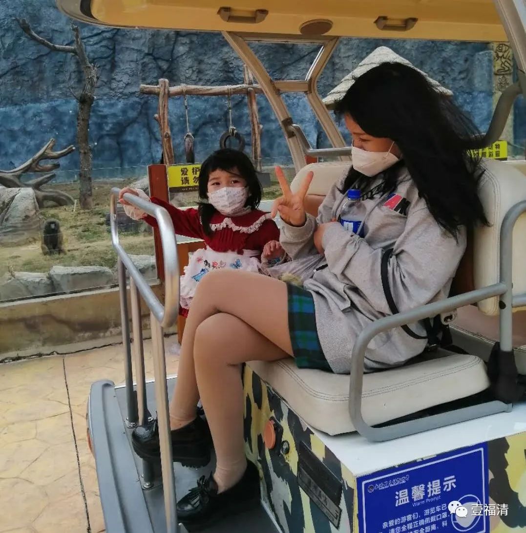 福清永鸿野生动物园要准备什么,夜游福清永鸿野生动物世界