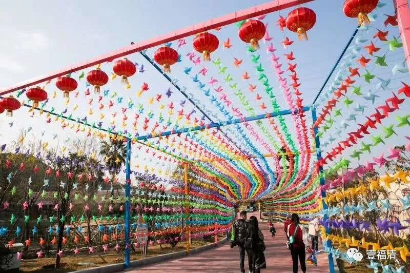 福清永鸿野生动物园要准备什么,夜游福清永鸿野生动物世界