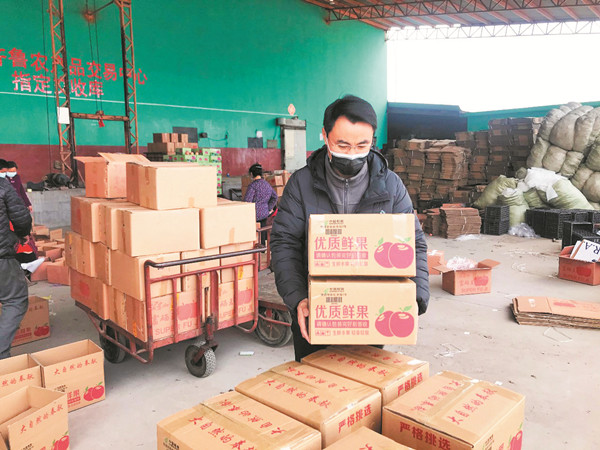 沂源直播卖苹果,开网店卖自己果园的苹果