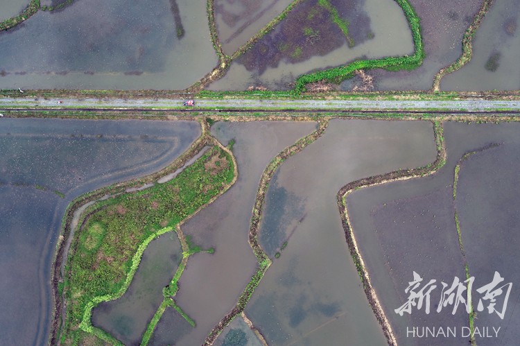 湖南聚焦绿色发展聚焦生态保护,湖南生态文明建设