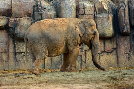 福清永鸿野生动物园玩几个小时,福清永鸿野生动物世界要玩多久