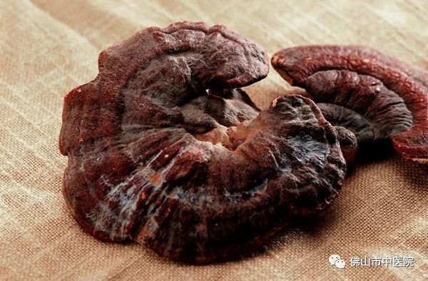 石斛天麻煲汤的做法大全,石斛灵芝汤的做法有什么功效