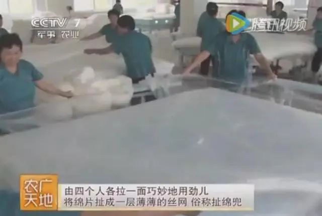 蚕丝被公告,蚕丝被曝光事件