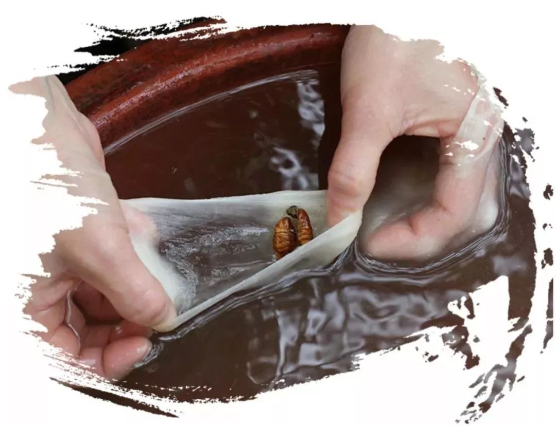 蚕丝被公告,蚕丝被曝光事件