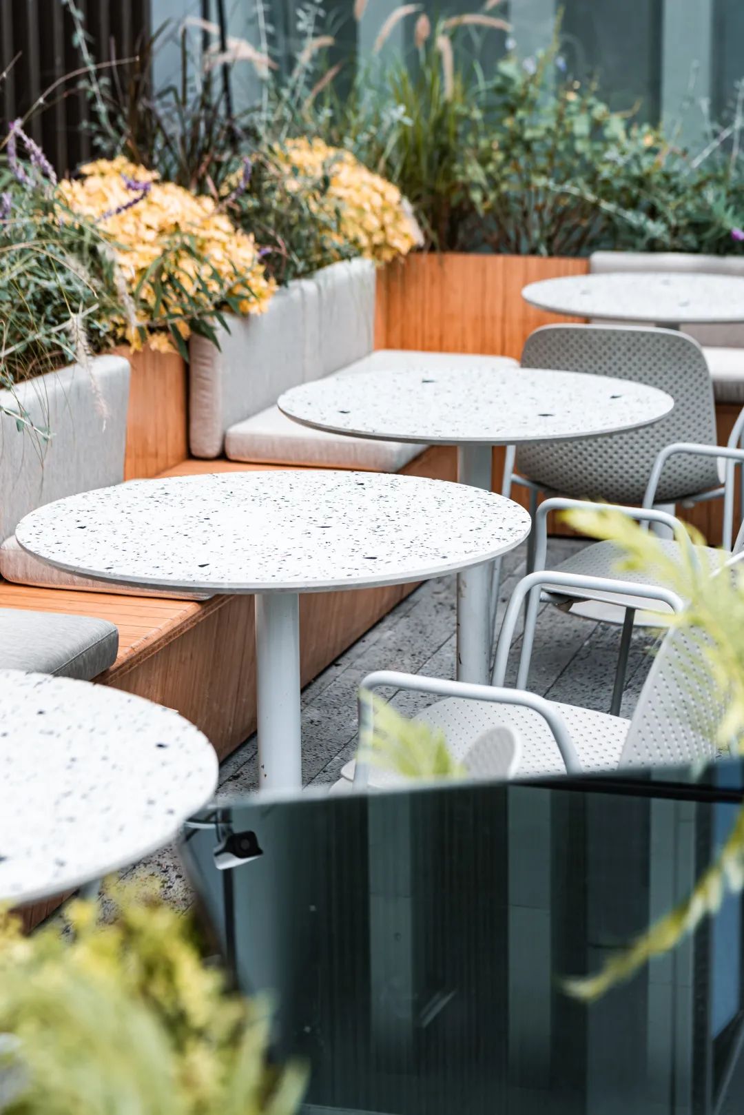 深圳很难买到的奶茶多少钱,深圳哪家奶茶最贵