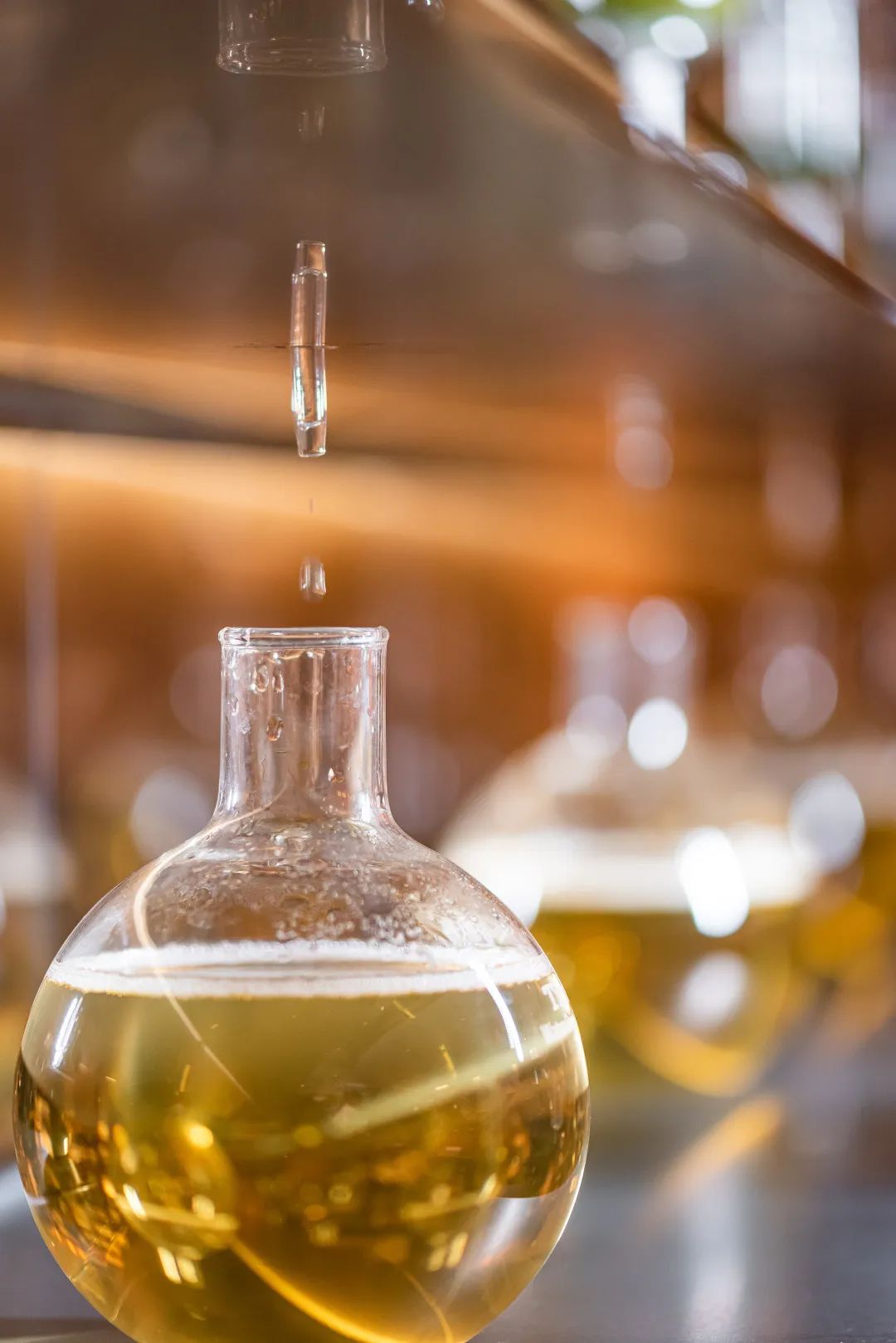 深圳很难买到的奶茶多少钱,深圳哪家奶茶最贵