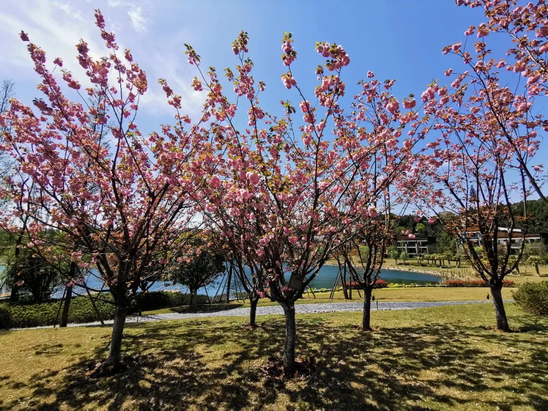 全球适合避世隐居的度假酒店,避世度假酒店安徽