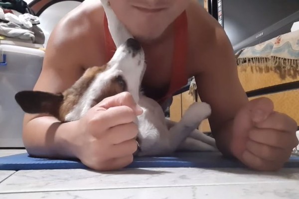 背心爸健身做棒式 底下萌妹一直亲