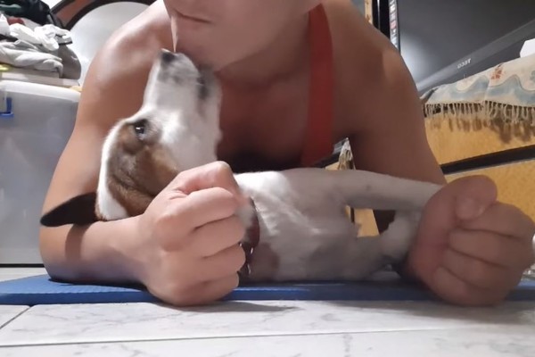 背心爸健身做棒式 底下萌妹一直亲