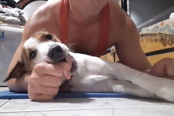 背心爸健身做棒式 底下萌妹一直亲