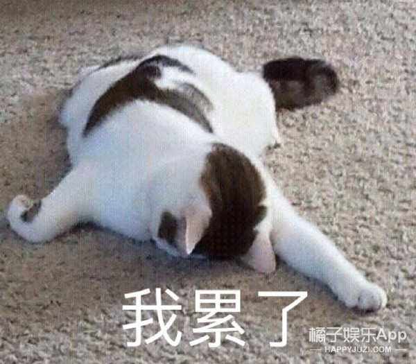 《冰糖》再现《香蜜》套路！10处剧情魔改虐观众，编剧脑子出走？