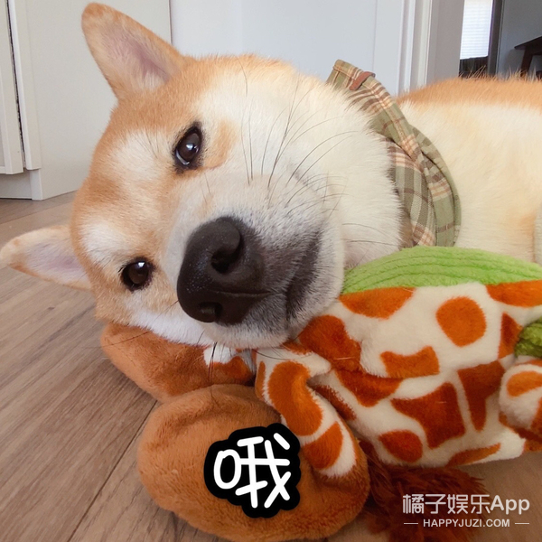 《冰糖》再现《香蜜》套路！10处剧情魔改虐观众，编剧脑子出走？