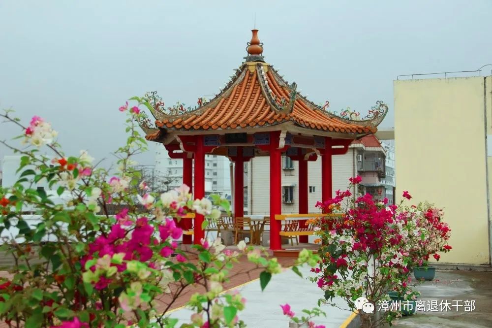 全力以“复”不负所期——漳州市老干部活动中心停业不停工工作侧记