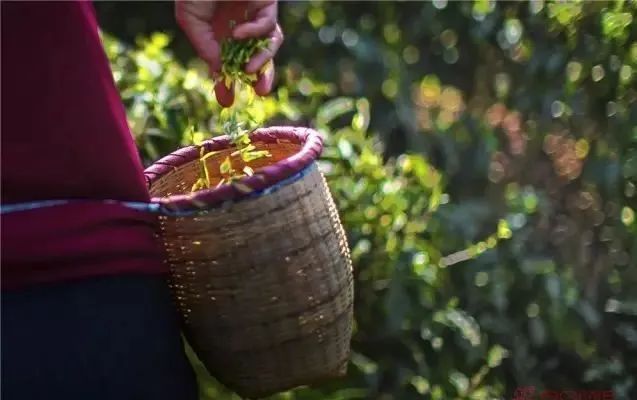 买它！谢谢你，为宣恩拼过单