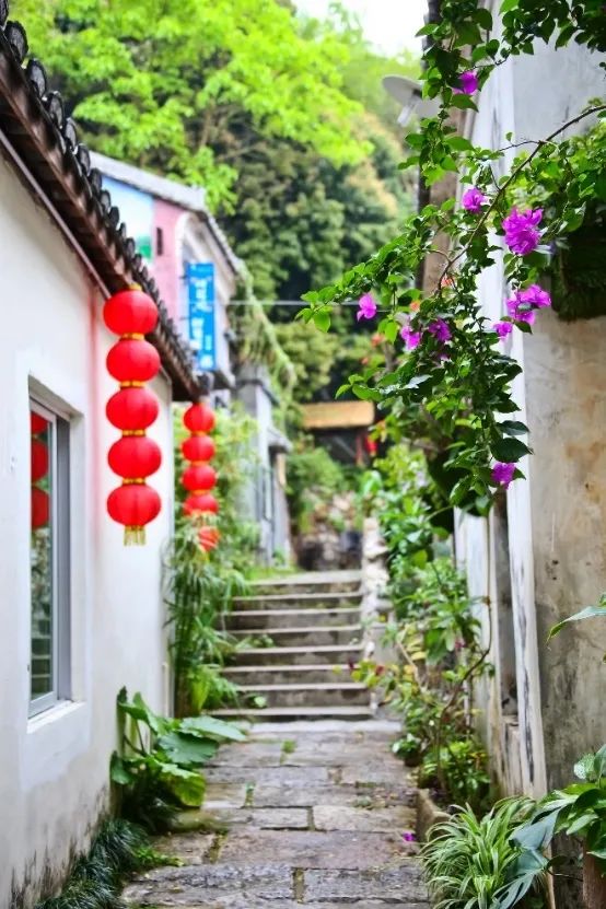 甘坑客家小镇采青节,甘坑客家小镇小凉帽农场好玩吗