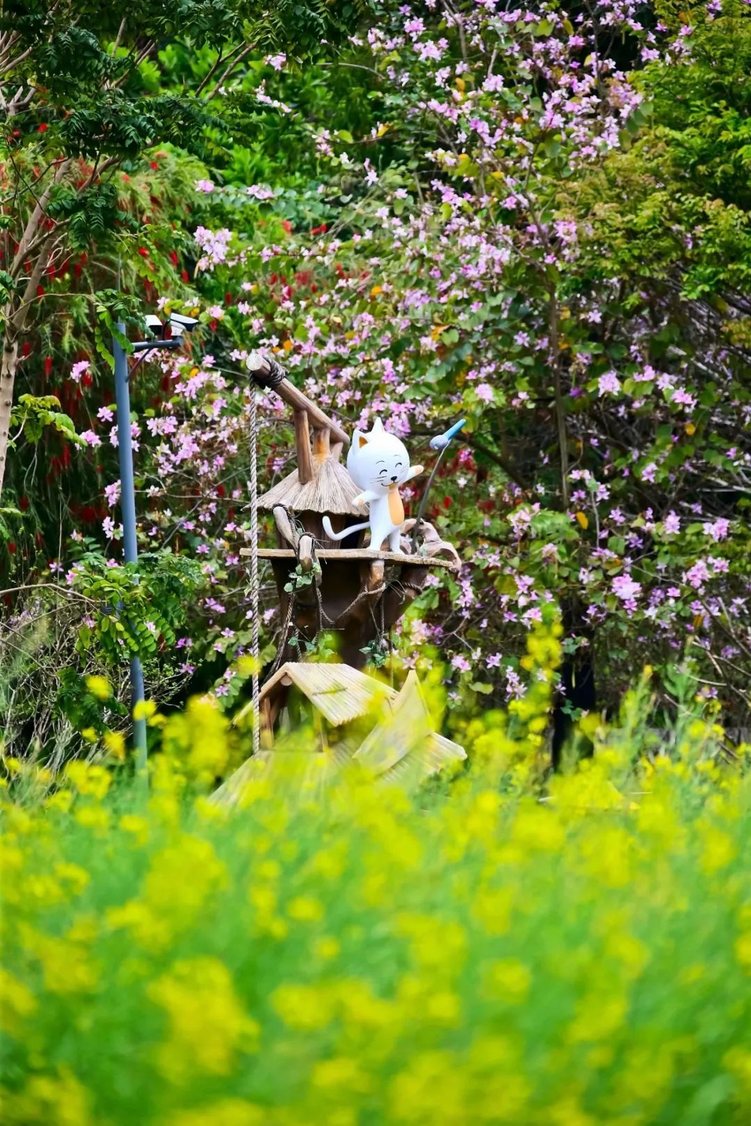 甘坑客家小镇采青节,甘坑客家小镇小凉帽农场好玩吗