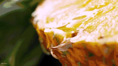 凤梨原来是长在地上的,凤梨里面正常的样子