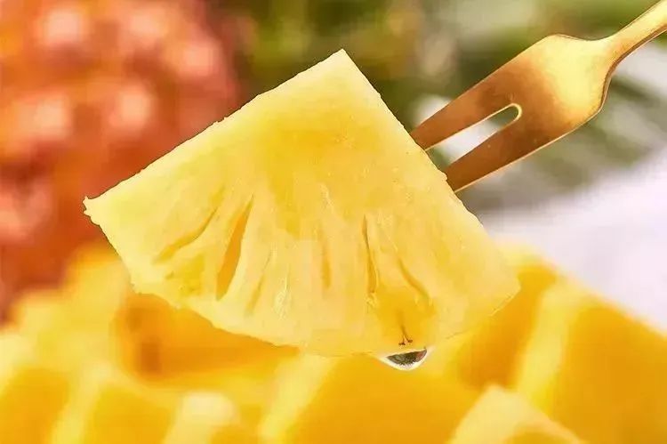 凤梨原来是长在地上的,凤梨里面正常的样子