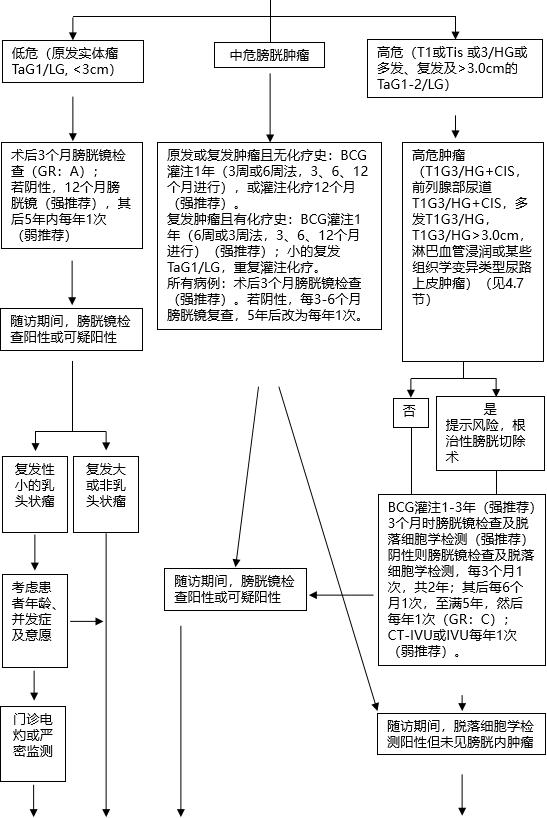 eau2020,肌层浸润性膀胱癌欧美