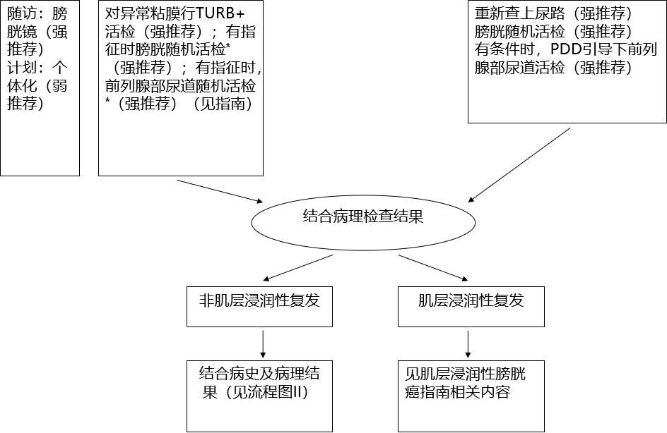 eau2020,肌层浸润性膀胱癌欧美