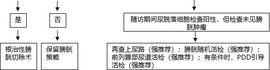 eau2020,肌层浸润性膀胱癌欧美