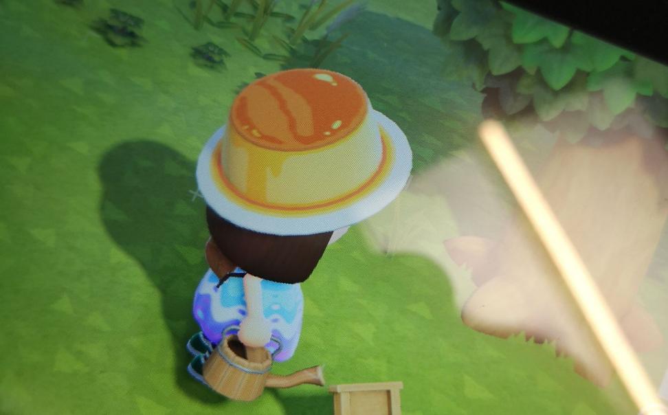 玩动森挣人民币,动森赚钱变现