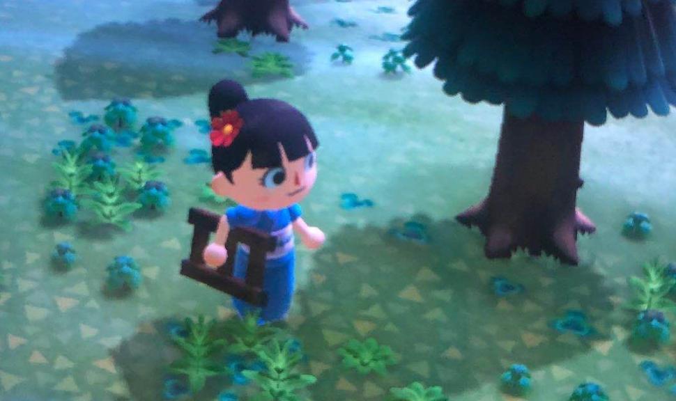 玩动森挣人民币,动森赚钱变现