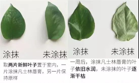 拒绝皮肤干裂带来的尴尬,唇部保养tips教程