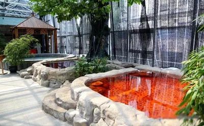 沈阳温泉洗浴团购推荐,沈阳市于洪区深蓝浴舍温泉洗浴