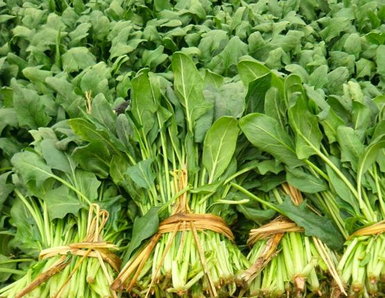 樱桃的保存方法保鲜还是冷冻,樱桃保存最佳方法快递